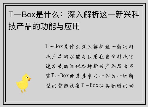 T一Box是什么：深入解析这一新兴科技产品的功能与应用